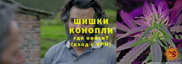 a pvp Дмитровск