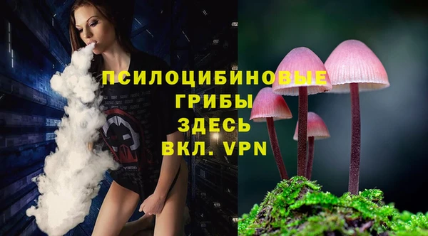 спайс Дмитров