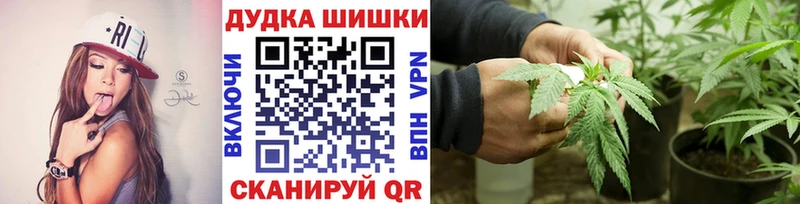 Бошки Шишки гибрид  Купить  Североморск 